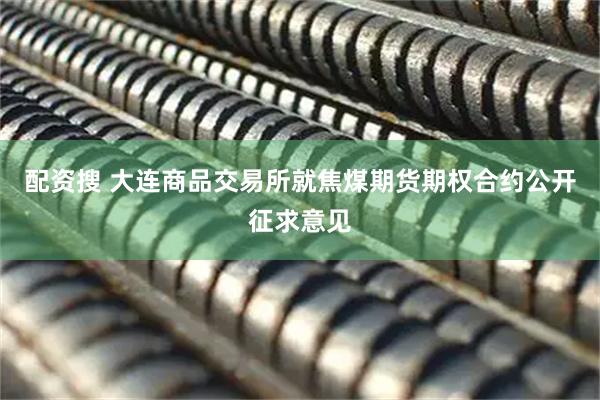 配资搜 大连商品交易所就焦煤期货期权合约公开征求意见